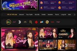 ibet1668 - Trang cá cược hàng đầu với tỷ lệ cược tốt nhất