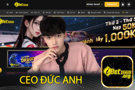 Các loại cá cược phổ biến trên ibet1668